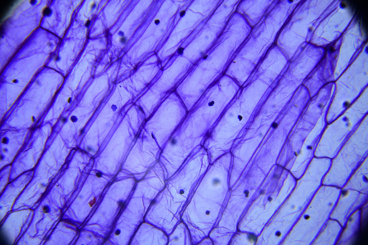 Guida: Come integrare Eso Hydra Young nella tua routine di bellezza quotidiana
